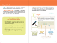 Birder's Logbook: A Seek-and-Sticker Book for Budding Ornithologists (comes with 100 full-color stickers of birds!)