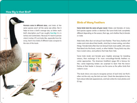Birder's Logbook: A Seek-and-Sticker Book for Budding Ornithologists (comes with 100 full-color stickers of birds!)