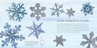 The Story of Snow
