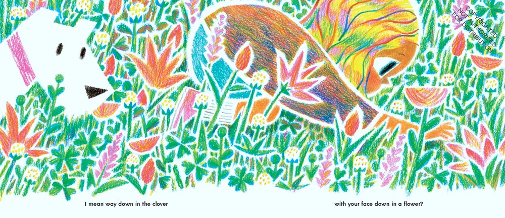 Have You Ever Seen a Flower?