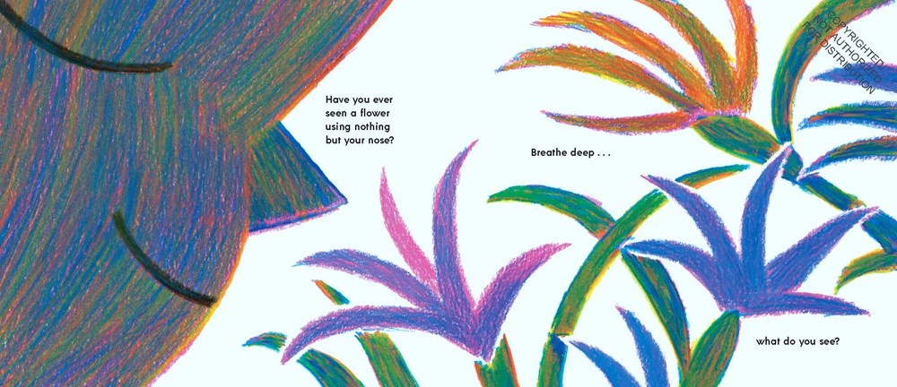 Have You Ever Seen a Flower?