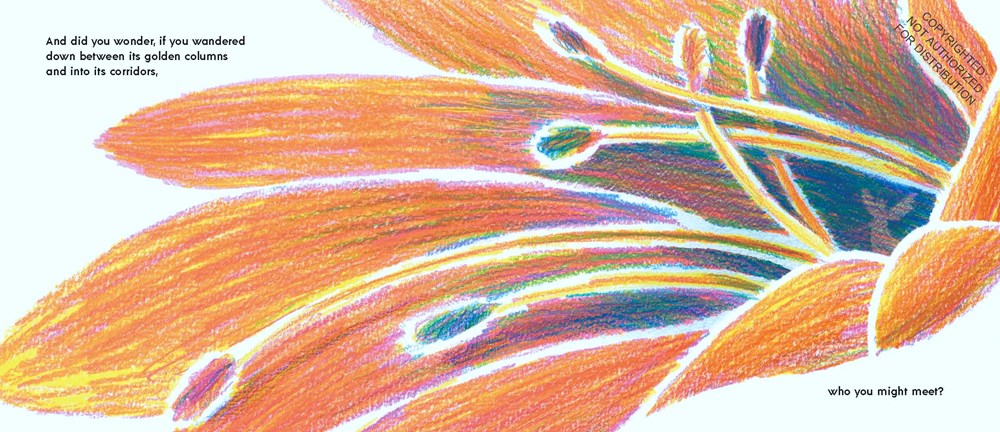 Have You Ever Seen a Flower?