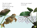 DK Readers L1: Tale of a Tadpole