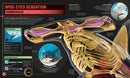 Super Shark Encyclopedia: And Other Creatures of the Deep (DK Super Nature Encyclopedias)