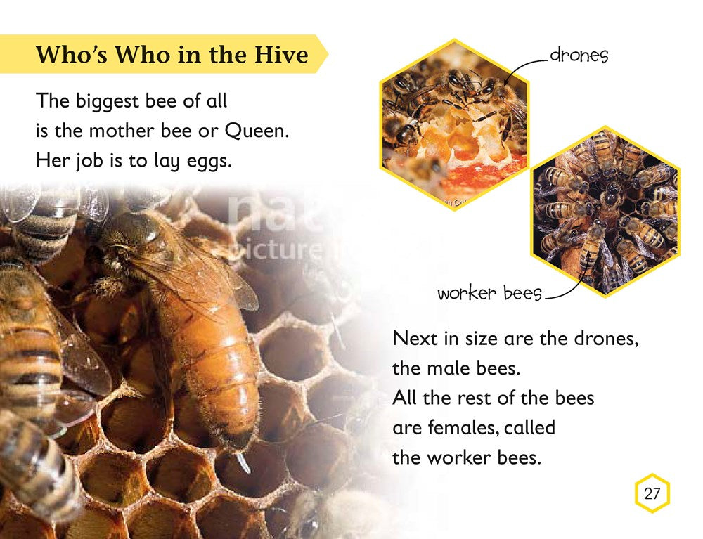 DK Readers L2: Amazing Bees