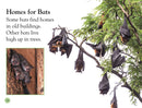 DK Readers L1: All About Bats