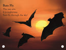 DK Readers L1: All About Bats