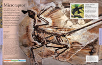 Dinosaurs: A Visual Encyclopedia, 2nd Edition (DK Children's Visual Encyclopedias)