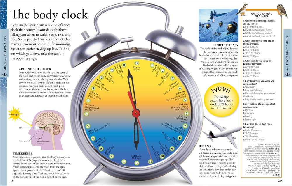 Human Body: A Visual Encyclopedia