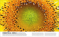 Trees, Leaves, Flowers and Seeds: A Visual Encyclopedia of the Plant Kingdom (DK Our World in Pictures)