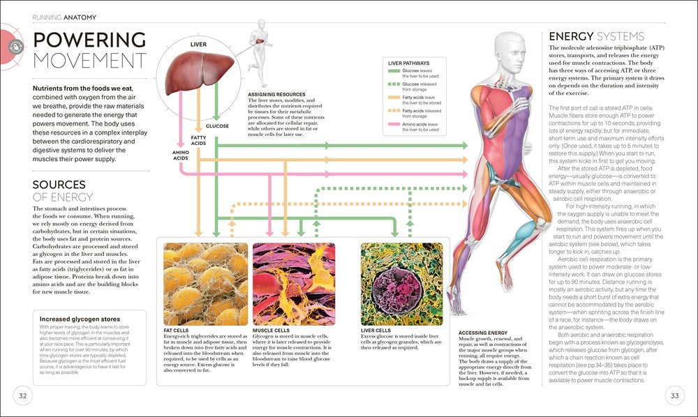 Science of Running: Analyze your Technique, Prevent Injury, Revolutionize your Training (The Science of Fitness)