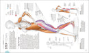 Science of Running: Analyze your Technique, Prevent Injury, Revolutionize your Training (The Science of Fitness)