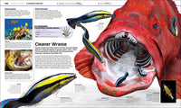 Knowledge Encyclopedia Ocean!