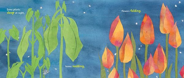 Plants Can't Sit Still