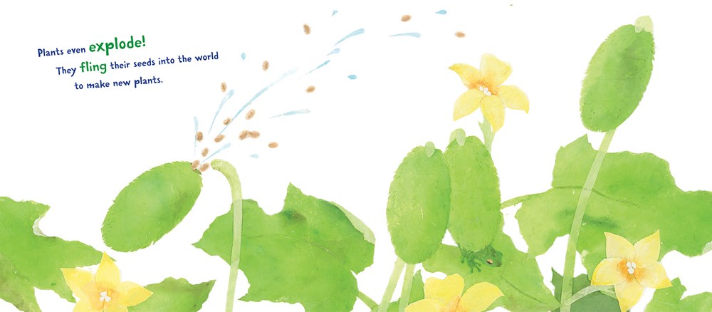 Plants Can't Sit Still