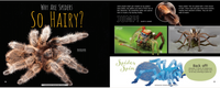 Scurry! The Truth About Spiders