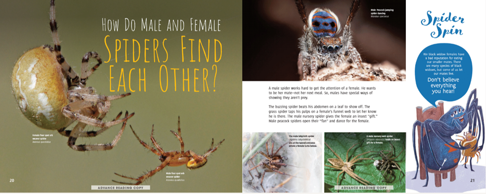 Scurry! The Truth About Spiders