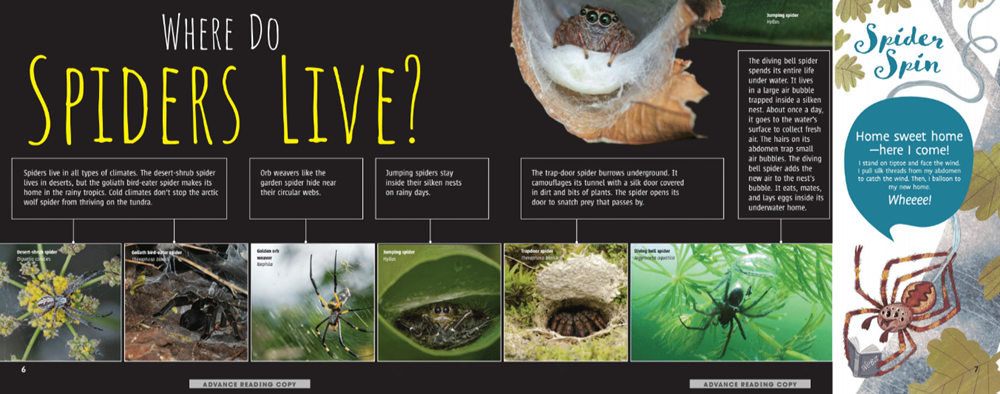 Scurry! The Truth About Spiders