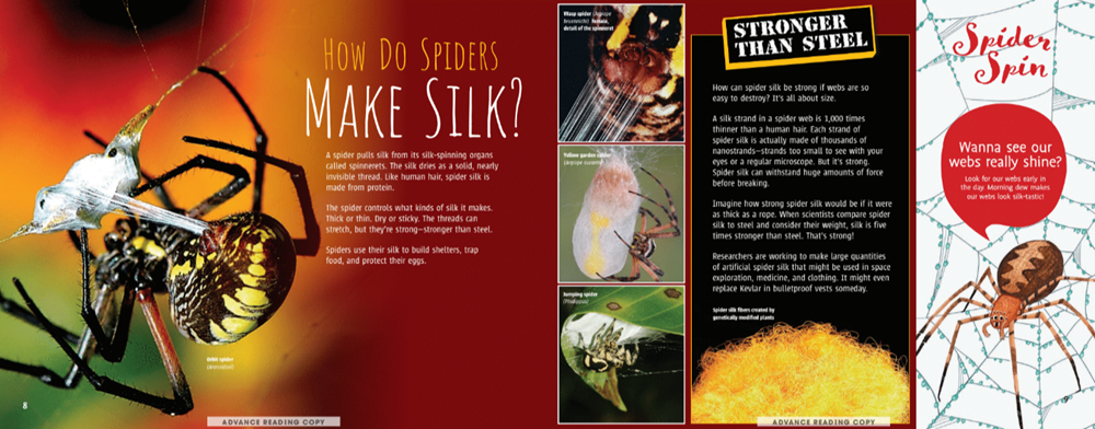 Scurry! The Truth About Spiders