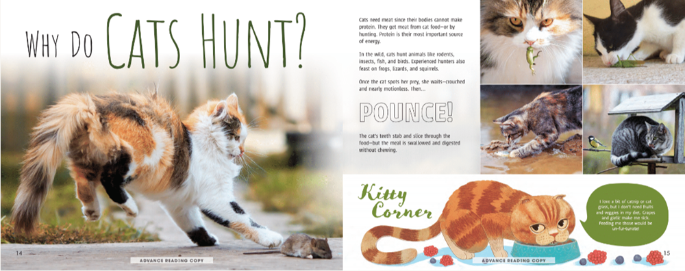 Meow! The Truth About Cats