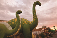 The Best Hits on Route 66