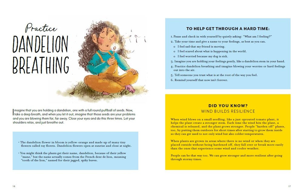 Finding Calm in Nature