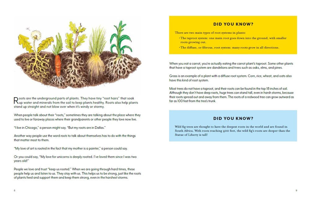 Finding Calm in Nature