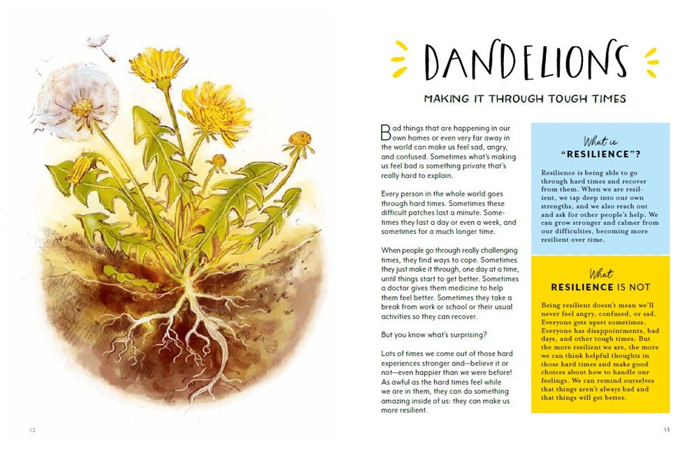 Finding Calm in Nature