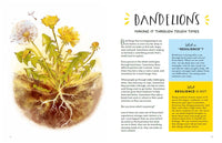 Finding Calm in Nature