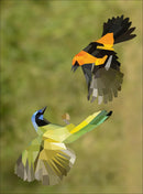 Paint by Sticker: Birds: Create 12 Stunning Images One Sticker at a Time!
