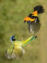 Paint by Sticker: Birds: Create 12 Stunning Images One Sticker at a Time!
