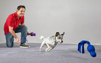 The Big Book of Tricks for the Best Dog Ever: A Step-by-Step Guide to 118 Amazing Tricks and Stunts