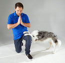 The Big Book of Tricks for the Best Dog Ever: A Step-by-Step Guide to 118 Amazing Tricks and Stunts