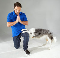 The Big Book of Tricks for the Best Dog Ever: A Step-by-Step Guide to 118 Amazing Tricks and Stunts