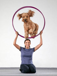 The Big Book of Tricks for the Best Dog Ever: A Step-by-Step Guide to 118 Amazing Tricks and Stunts