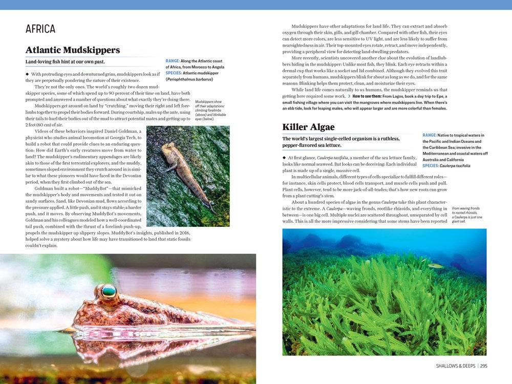 Atlas Obscura: Wild Life: An Explorer's Guide to the World's Living Wonders