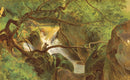 The Eyes and the Impossible: (Newbery Medal Winner)