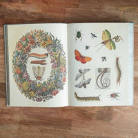 Cabinet of Curiosities: Over 1,000 Curated Stickers from the Fascinating Collections of the Smithsonian