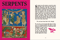 Weird Medieval Guys: How to Live, Laugh, Love (and Die) in Dark Times