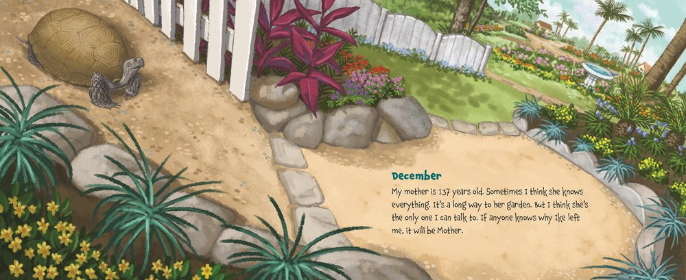 Memoirs of a Tortoise