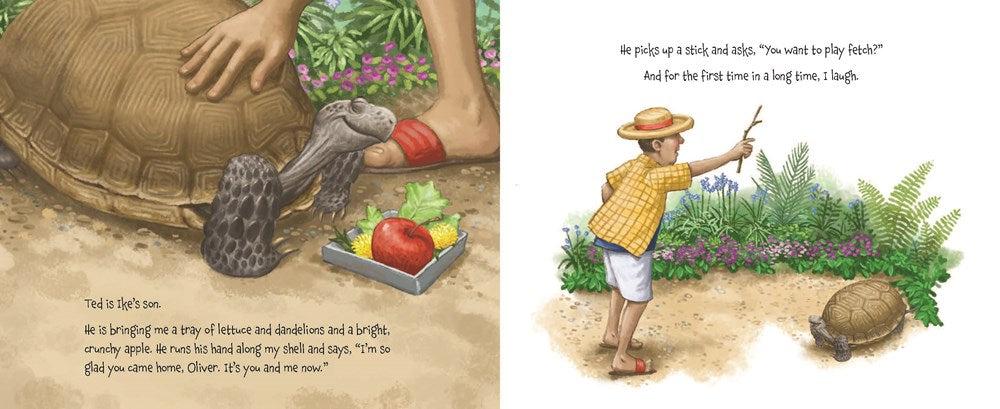 Memoirs of a Tortoise