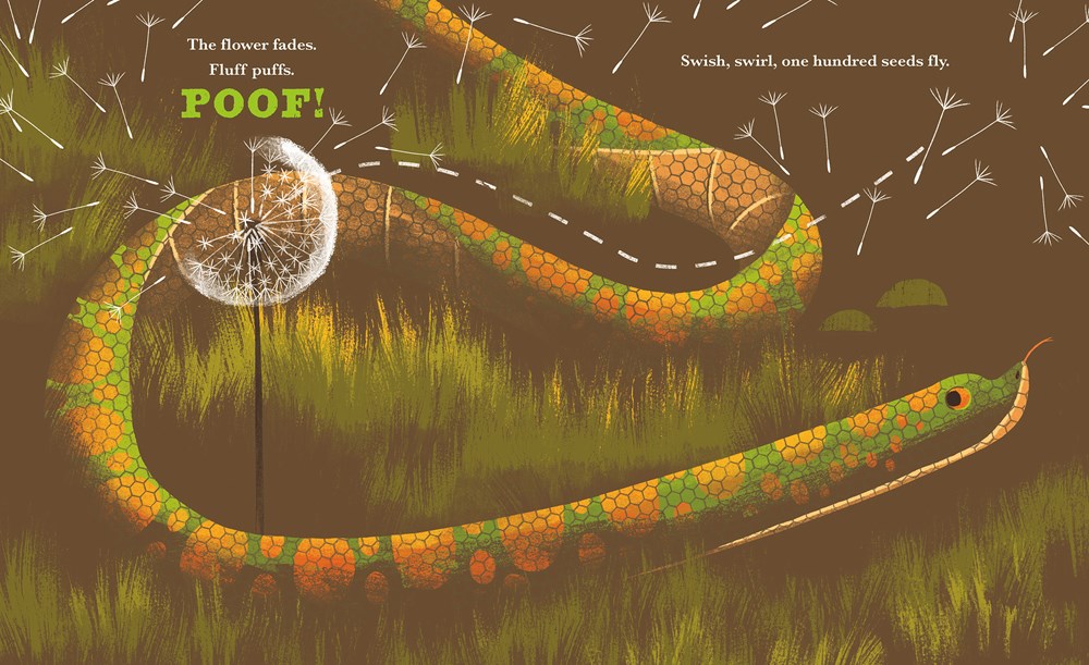 Little Dandelion Seeds the World