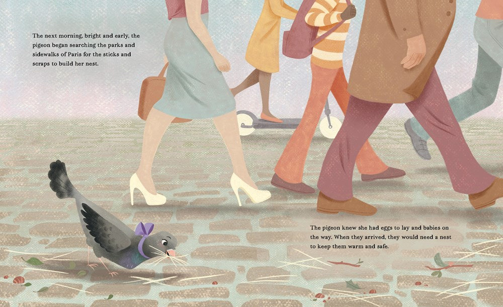 A Pigeon in Paris: Petite Takes Flight