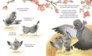 A Pigeon in Paris: Petite Takes Flight
