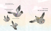 A Pigeon in Paris: Petite Takes Flight