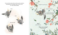 A Pigeon in Paris: Petite Takes Flight