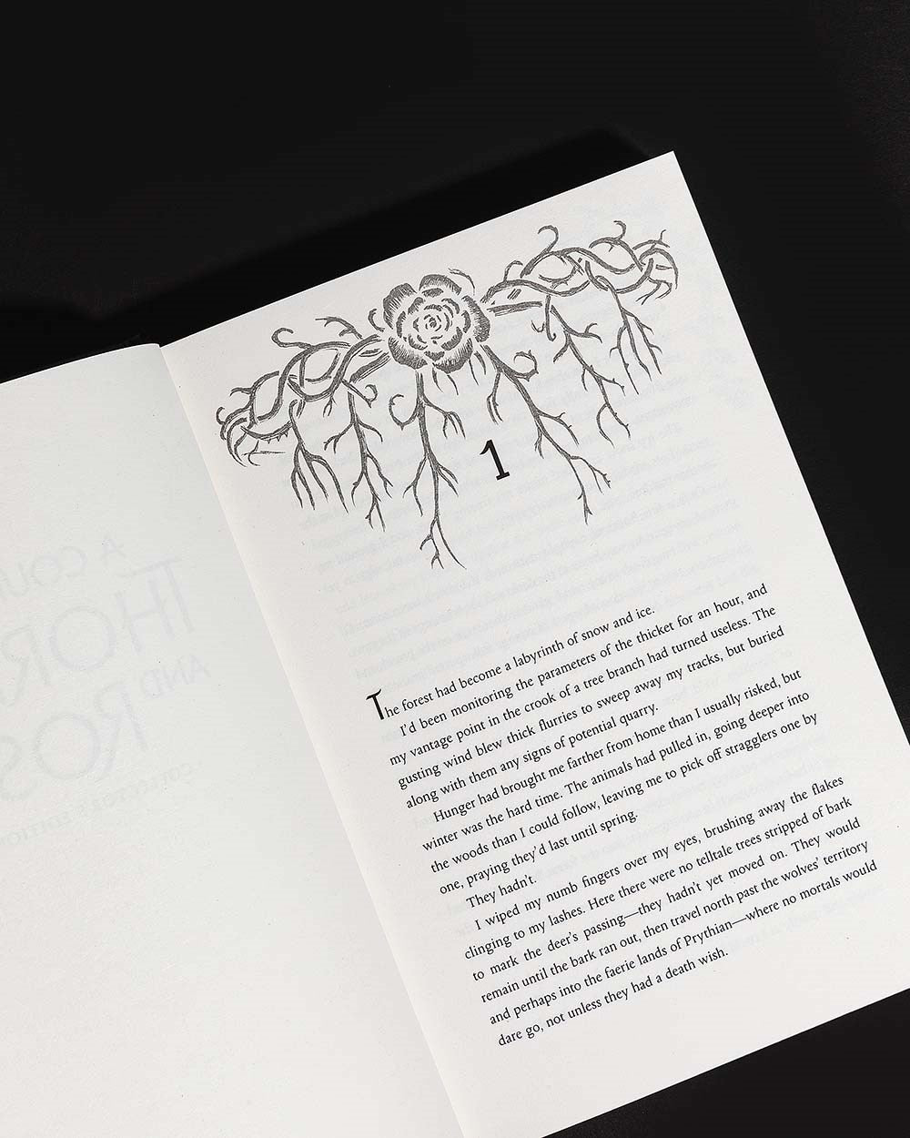 A Court of Thorns and Roses Collector's Edition