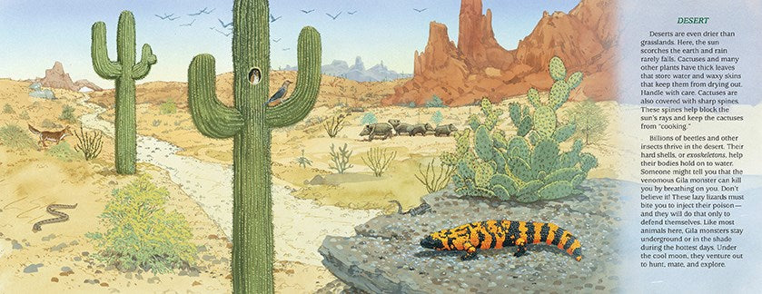 Many Biomes, One Earth