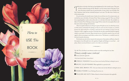 The Complete Language of Flowers: A Definitive and Illustrated History - Pocket Edition (Complete Illustrated Encyclopedia)