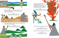 Sammy Spider's First Haggadah